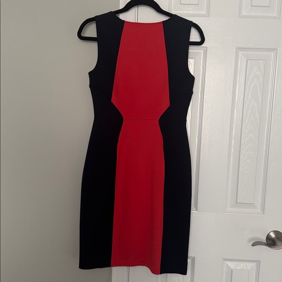 Colorblock Dress - Picture 3 of 3